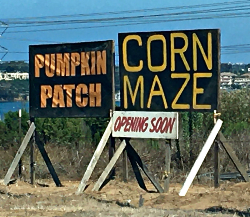 2020 Pumpkin Patch and Corn Maze in Carlsbad CA